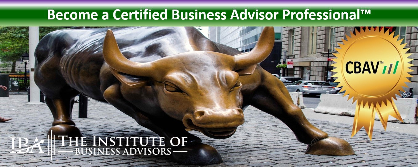 Institute of Business Advisors