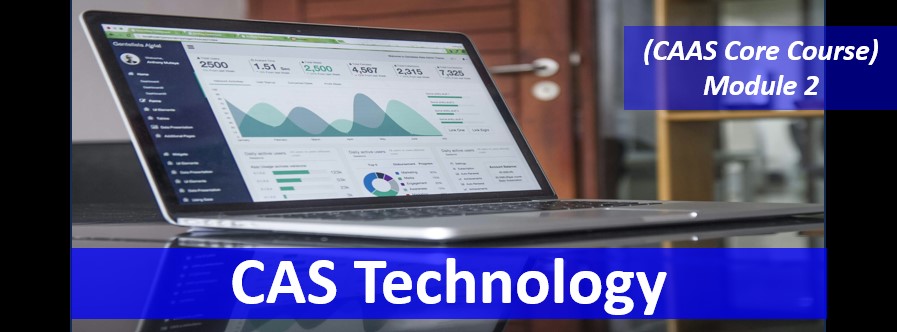 Certified Accounting & Advisory Specialist (CAAS)