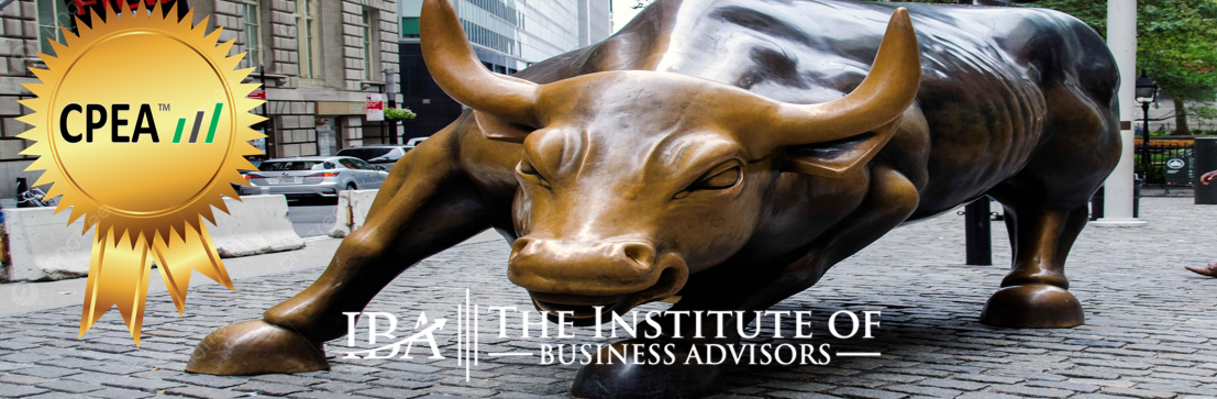 Certified Private Equity Advisor