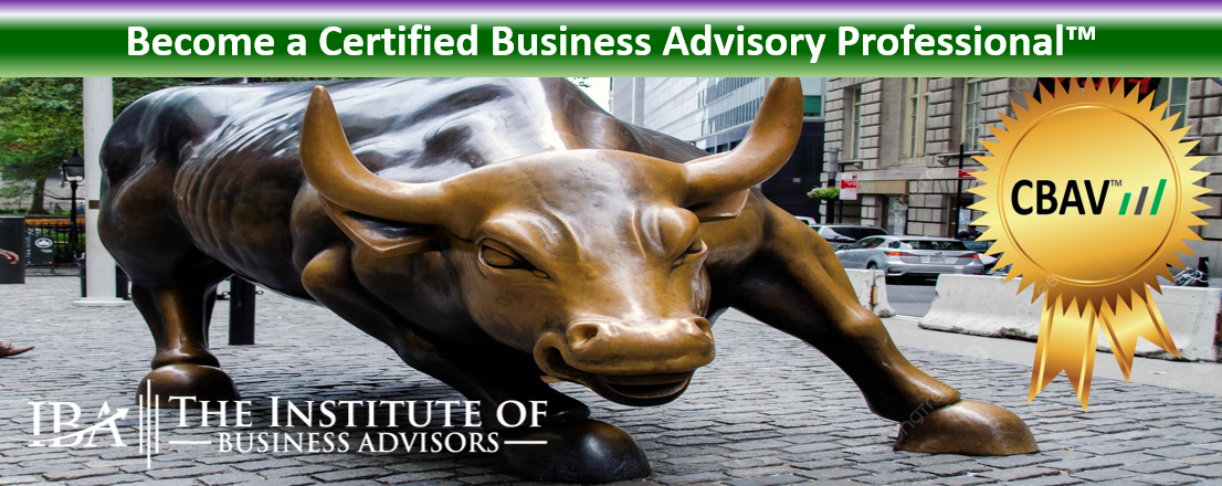 Institute of Business Advisors